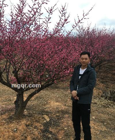 爱运动的哥的头像