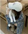 治愈小懒猫的头像