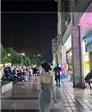爱意随风起的头像