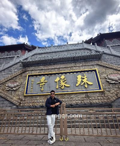 没风的森林的头像