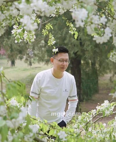 墨染锦年的头像