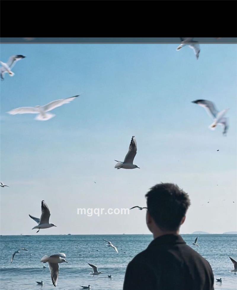 不吃番茄