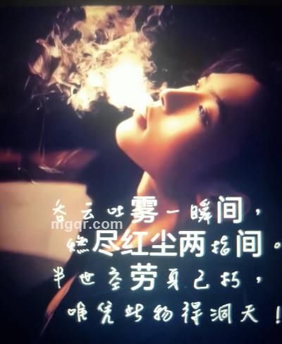 四季豆的头像