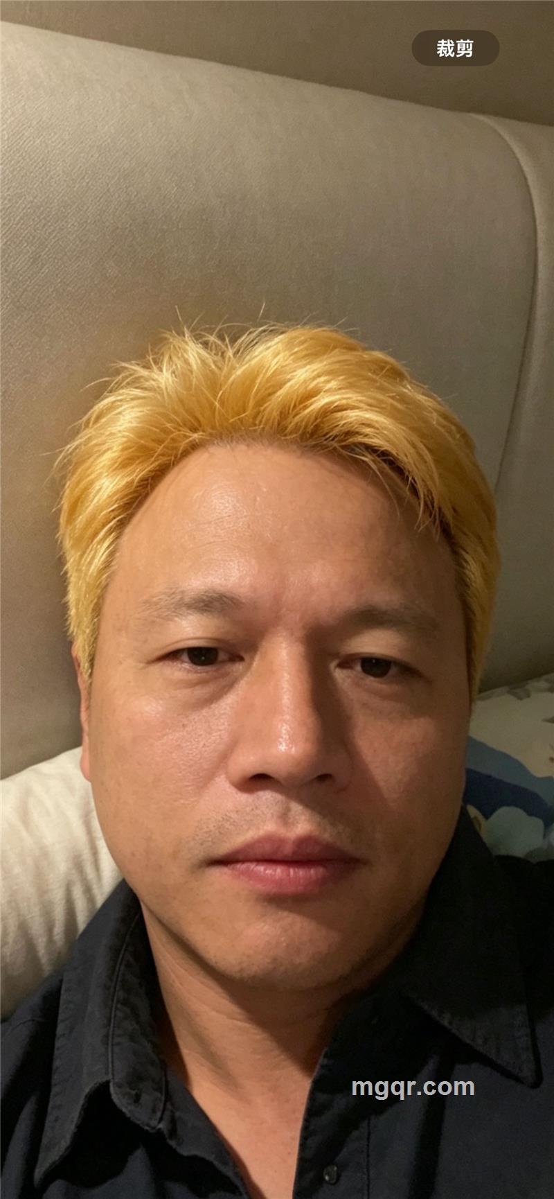 飞翔的狮子