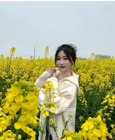蚍蜉撼树的头像