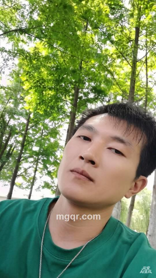 叶枫的头像