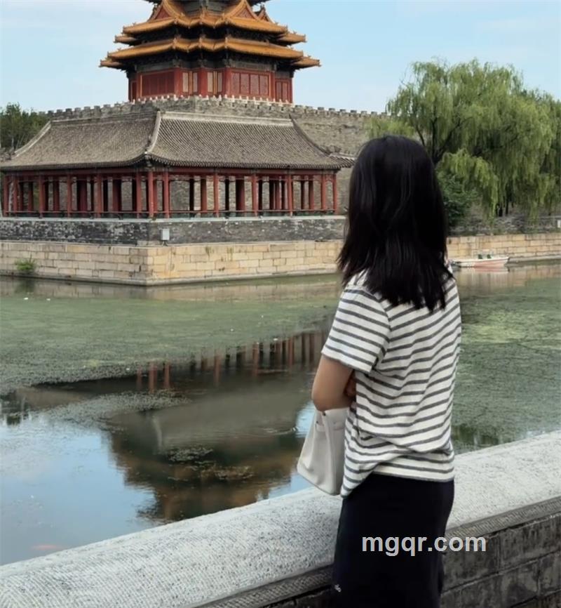 玫瑰网