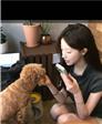 囡囡的头像
