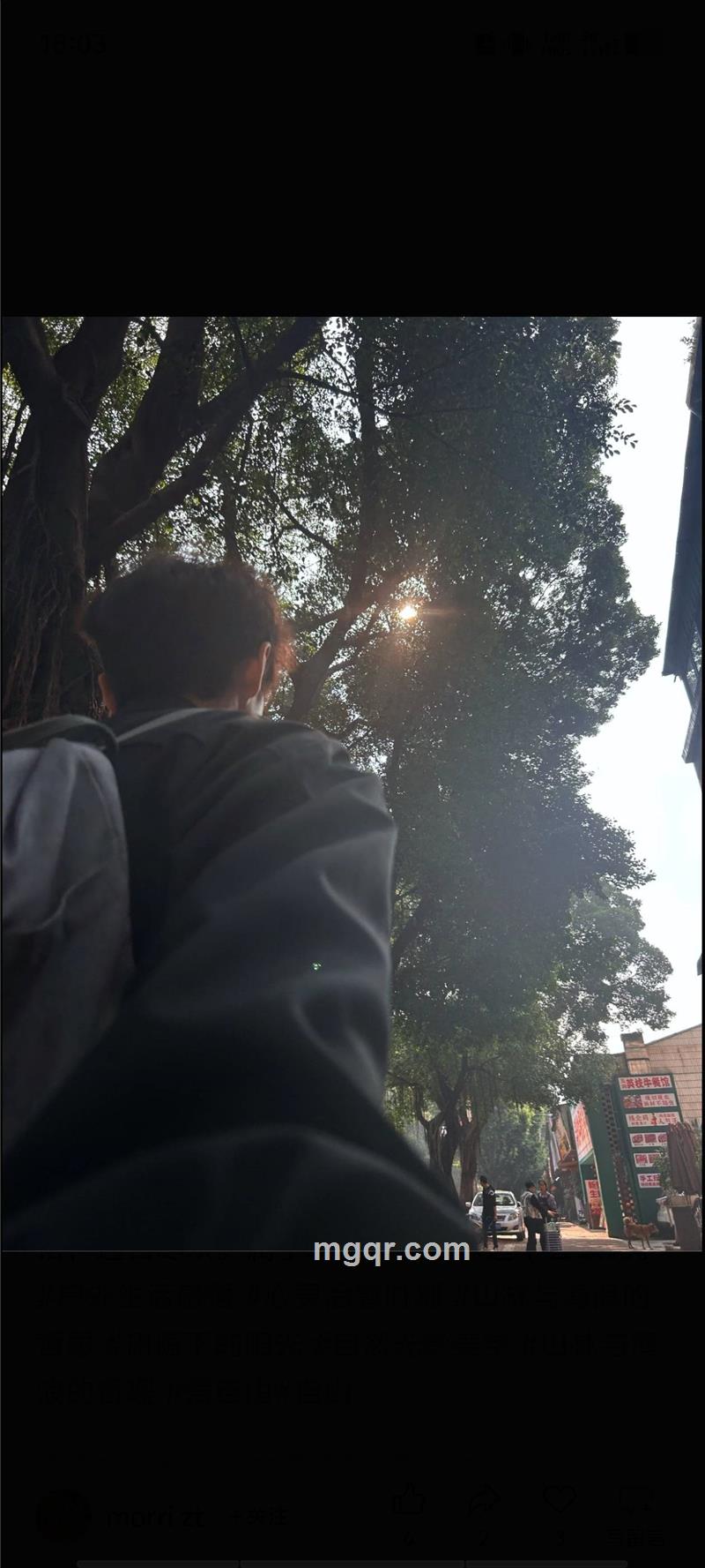 会员5550563的头像