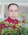 玫瑰红颜的头像