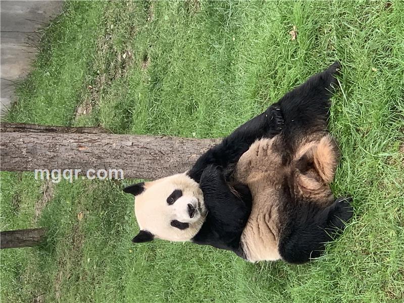 相公的头像