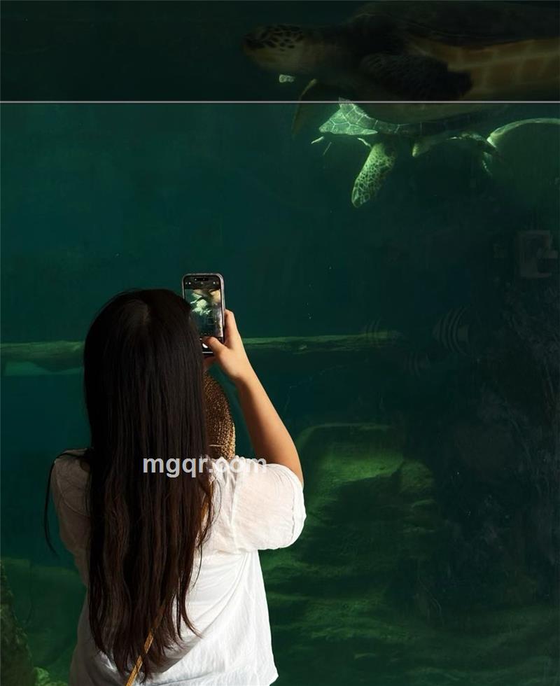 丽丽的头像