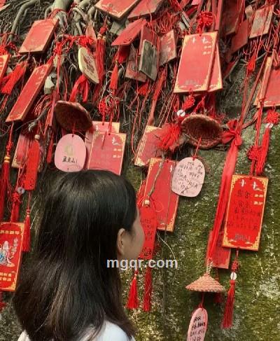 圆圆的头像