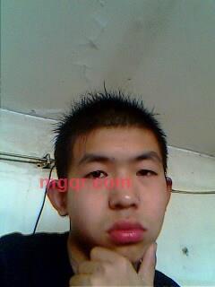 逃避的第1张照片