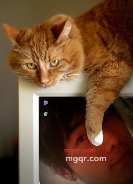 oo之o夏oo的第6张照片