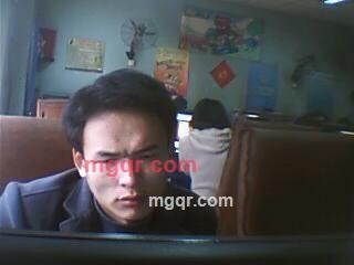 随意的树根的第5张照片