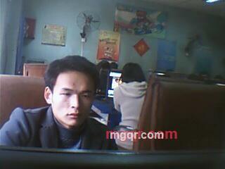 随意的树根的第6张照片