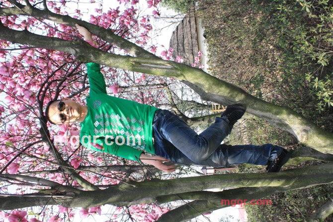 梦幻的第1张照片