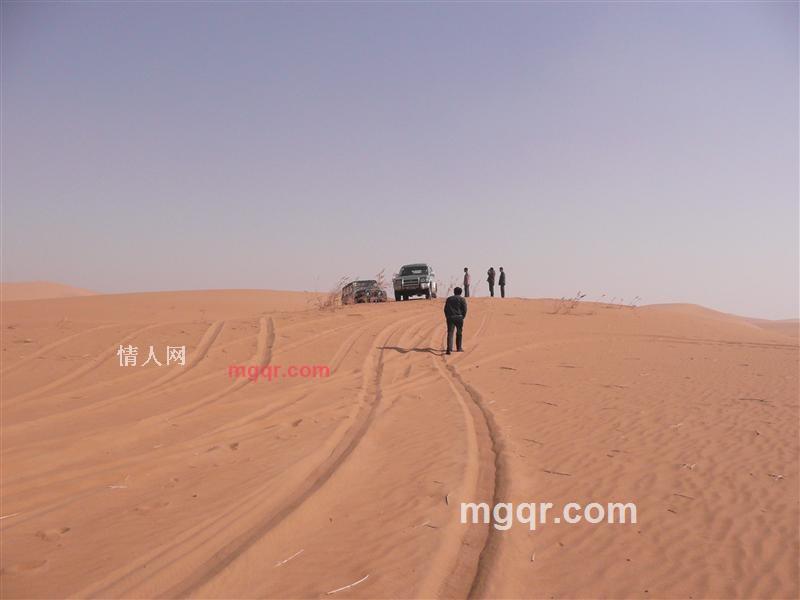 bill7810的第1张照片