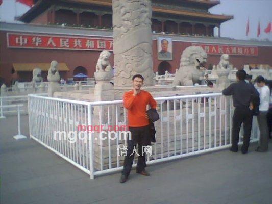 随意的树根的第3张照片