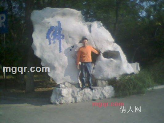 随意的树根的第2张照片