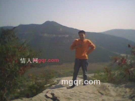 随意的树根的第1张照片