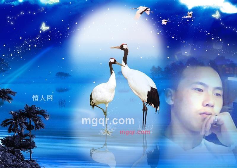 爱只有一个的第5张照片