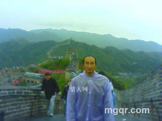 金宝的第1张照片