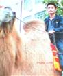 相拥的第1张照片