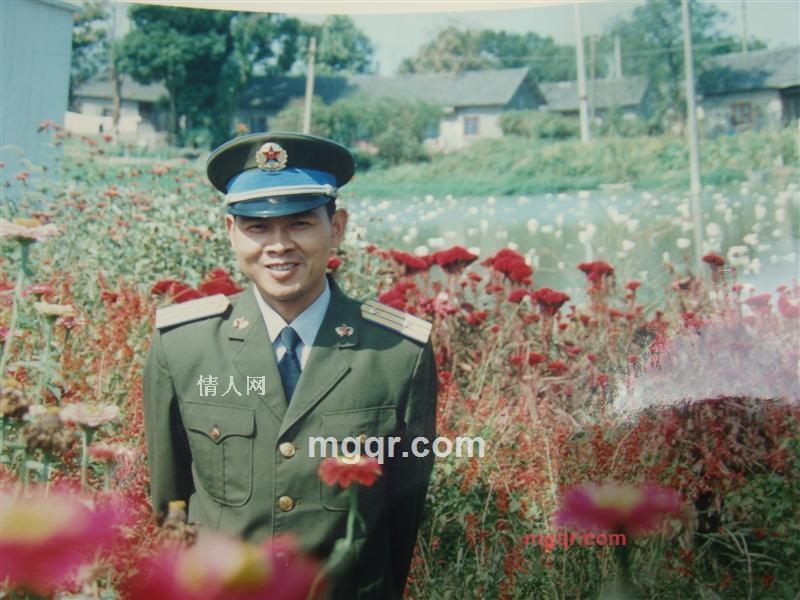 金牛的第3张照片