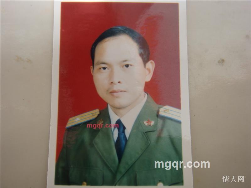 金牛的第2张照片