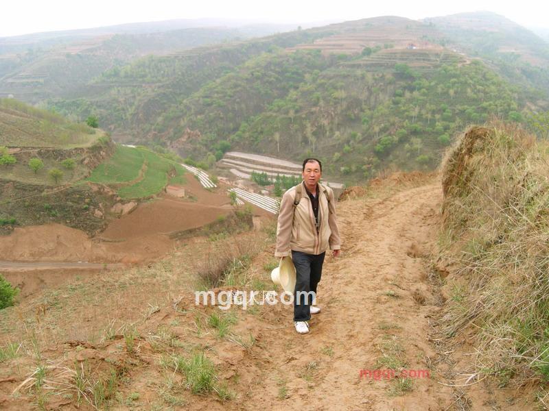 泰斯特的第2张照片