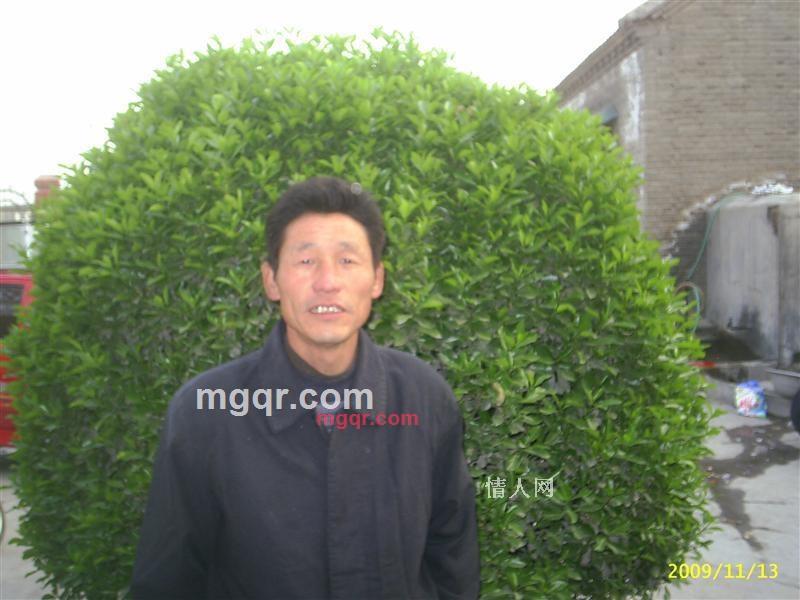 流感的第1张照片