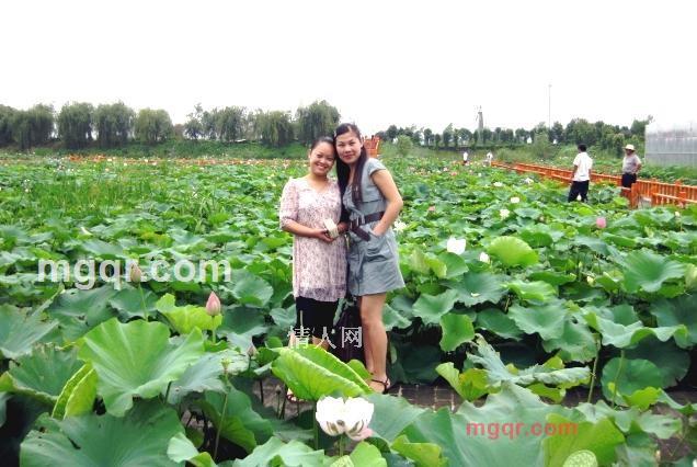 依恋一生的第8张照片