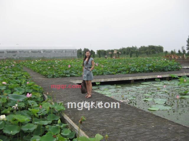 依恋一生的第7张照片