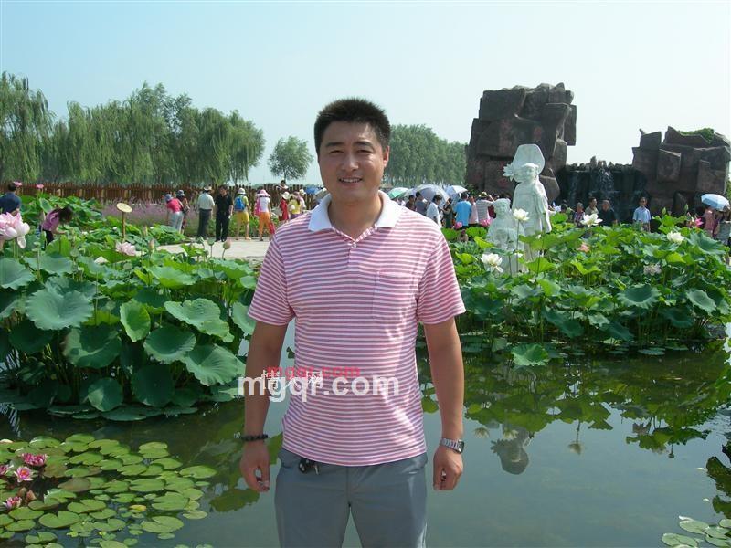 乌龙茶的第3张照片