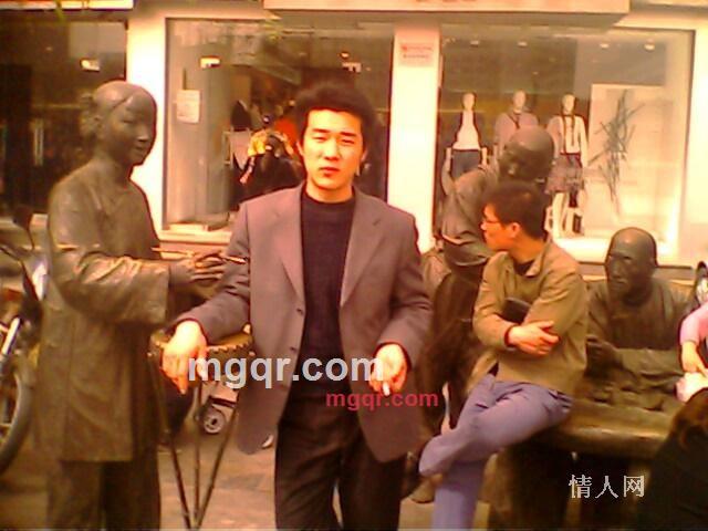 流浪的狼的第3张照片