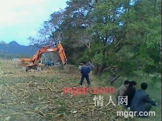 浪子仔的第5张照片