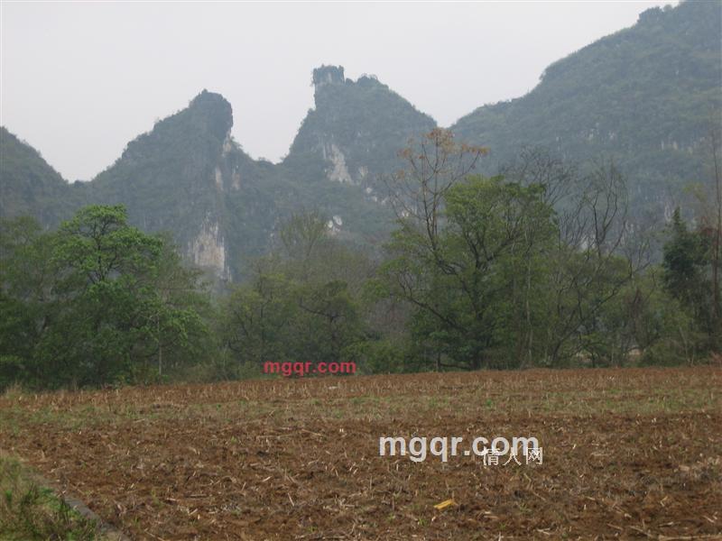 浪子仔的第3张照片