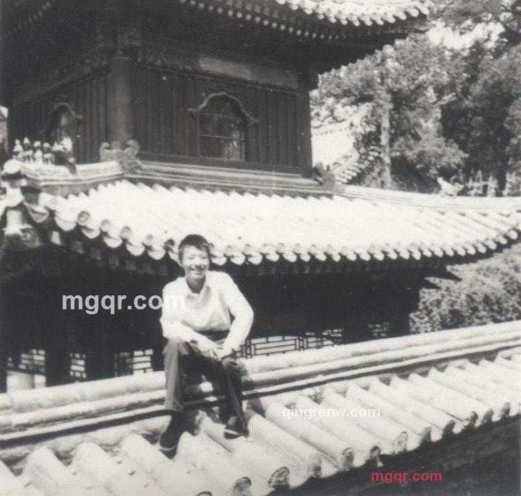 灰太狼999的第3张照片