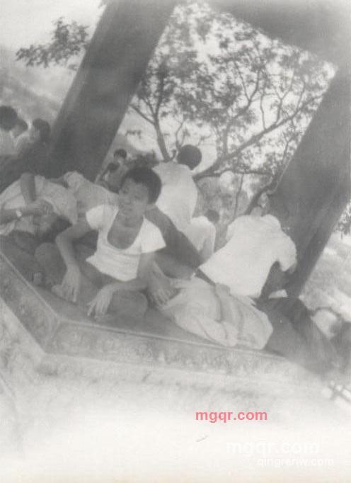 灰太狼999的第1张照片