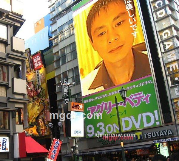 七夕的第4张照片