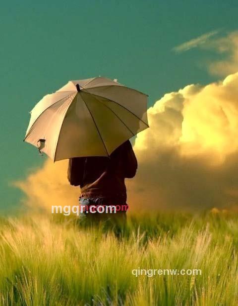 渐入佳境的第1张照片