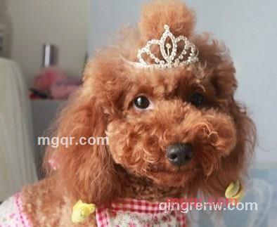 爱及生灵的第7张照片