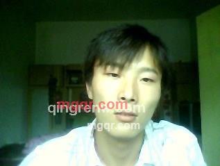 老树一棵的第1张照片