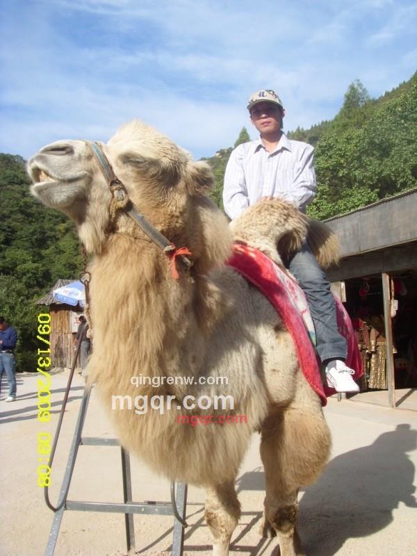 小棋的第3张照片