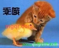 厚道厚道的第3张照片