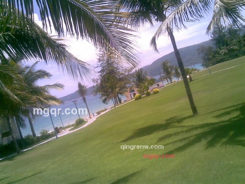 MR.lonely的第1张照片