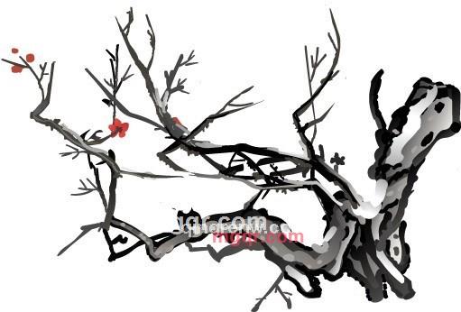 远方孤舟的第7张照片