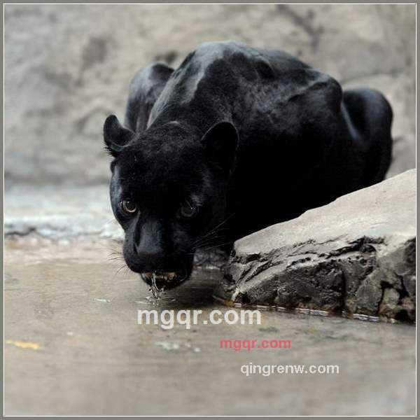 自由的小溪的第1张照片